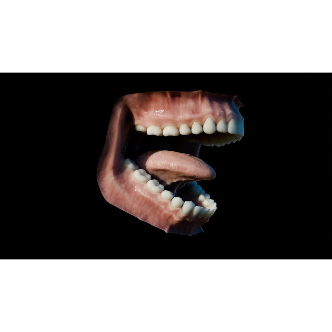 Human Mouth 3D Model – Photorealistic Low Poly Rigged Asset for Blender and 3ds Max - View 23