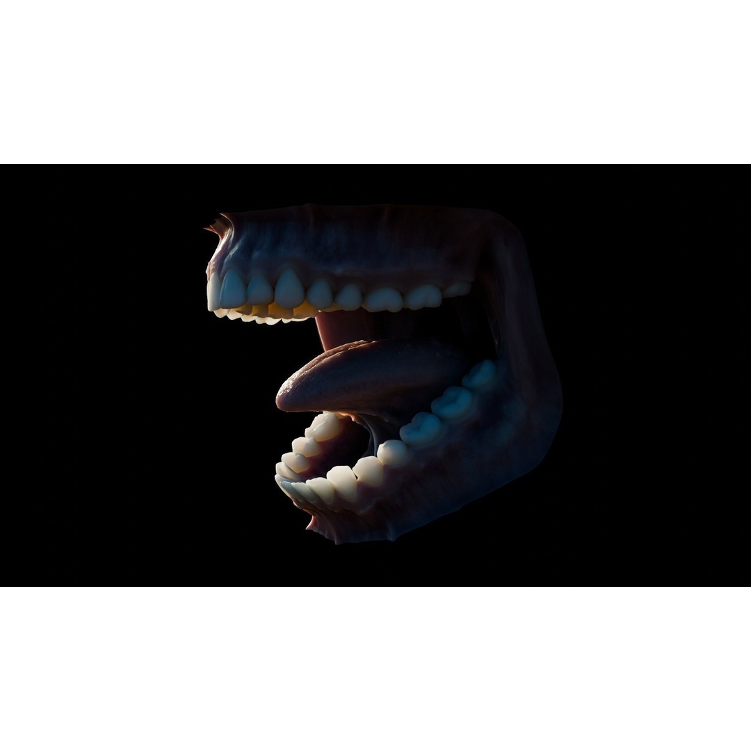 Human Mouth 3D Model – Photorealistic Low Poly Rigged Asset for Blender and 3ds Max - View 24