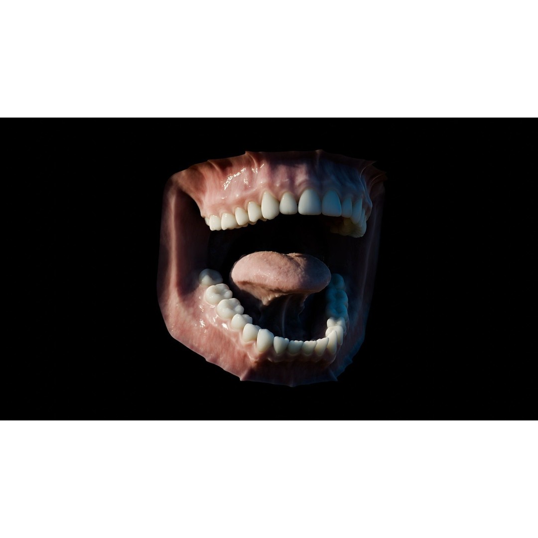 Human Mouth 3D Model – Photorealistic Low Poly Rigged Asset for Blender and 3ds Max - View 26