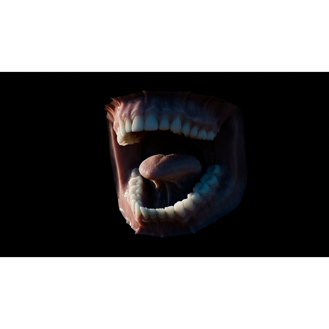 Human Mouth 3D Model – Photorealistic Low Poly Rigged Asset for Blender and 3ds Max - View 27