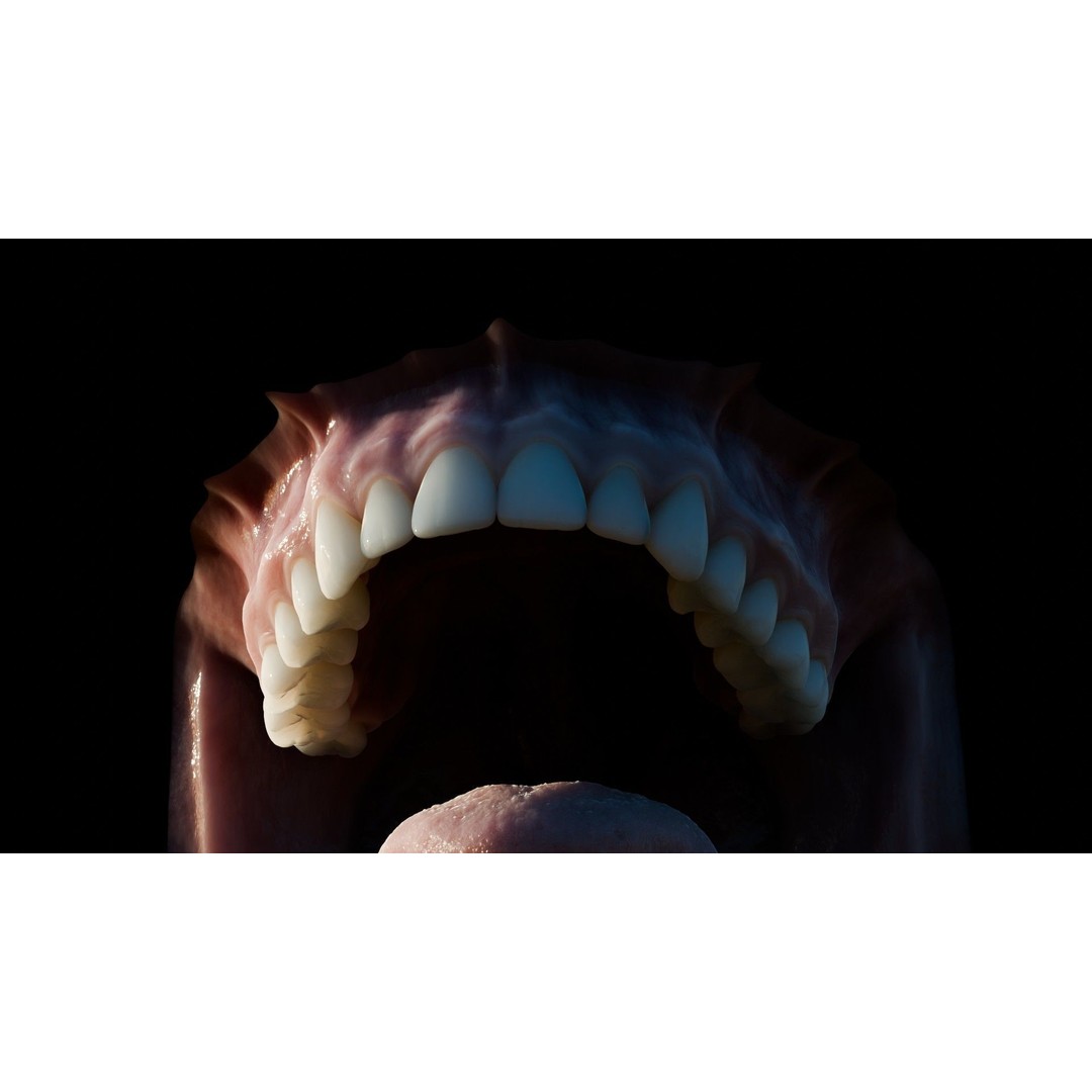 Human Mouth 3D Model – Photorealistic Low Poly Rigged Asset for Blender and 3ds Max - View 28
