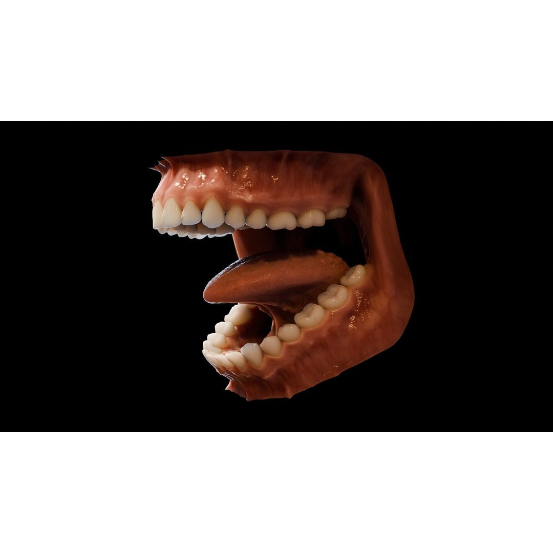 Human Mouth 3D Model – Photorealistic Low Poly Rigged Asset for Blender and 3ds Max - View 3