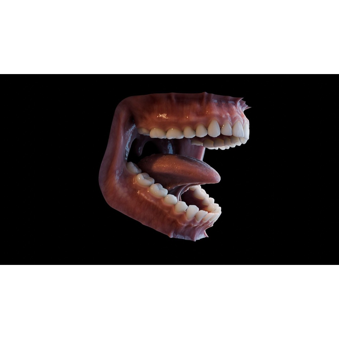 Human Mouth 3D Model – Photorealistic Low Poly Rigged Asset for Blender and 3ds Max - View 30
