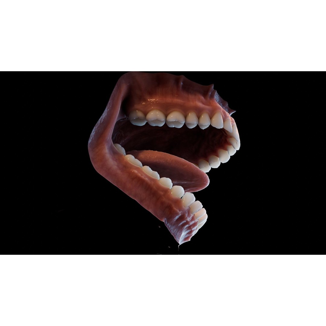 Human Mouth 3D Model – Photorealistic Low Poly Rigged Asset for Blender and 3ds Max - View 32