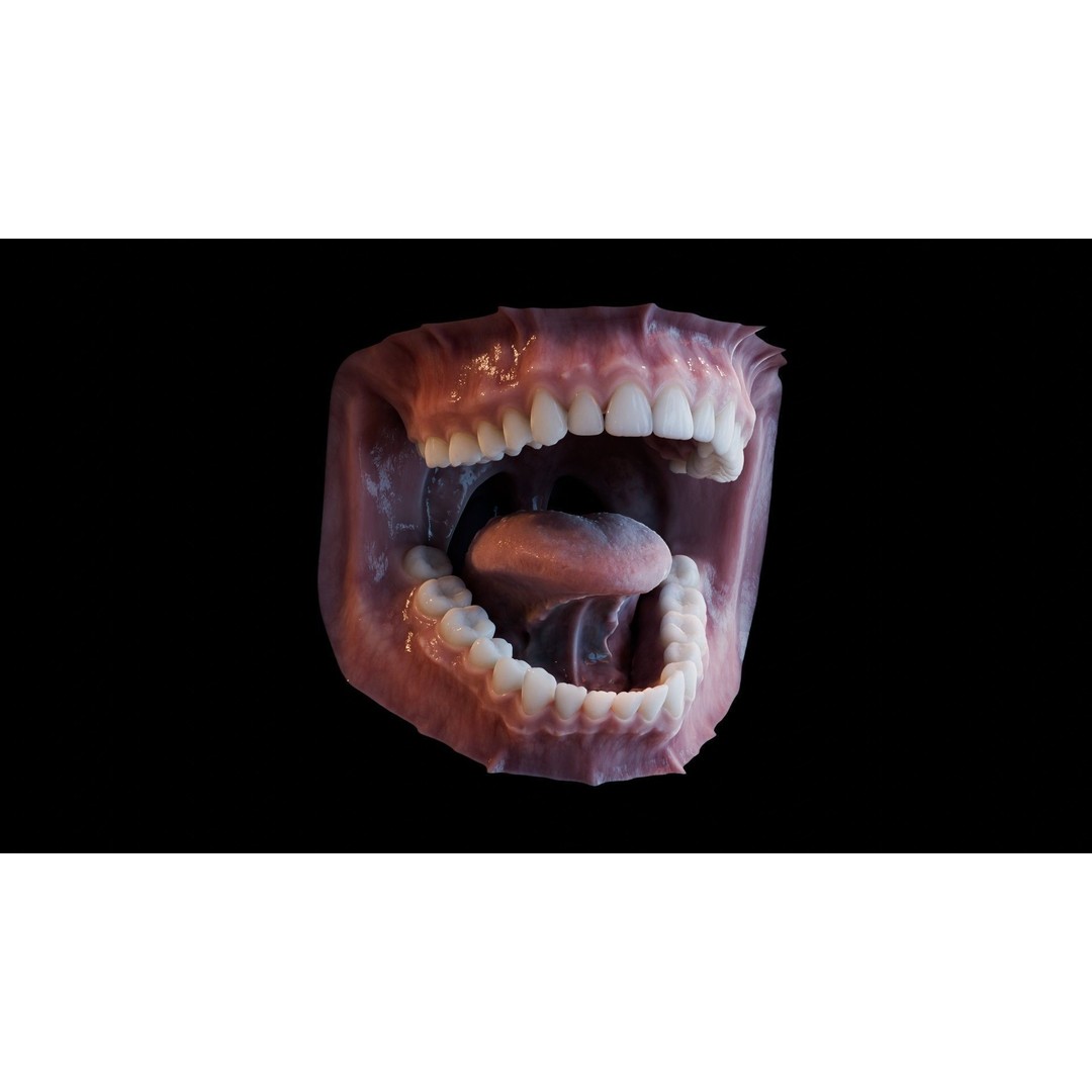 Human Mouth 3D Model – Photorealistic Low Poly Rigged Asset for Blender and 3ds Max - View 33