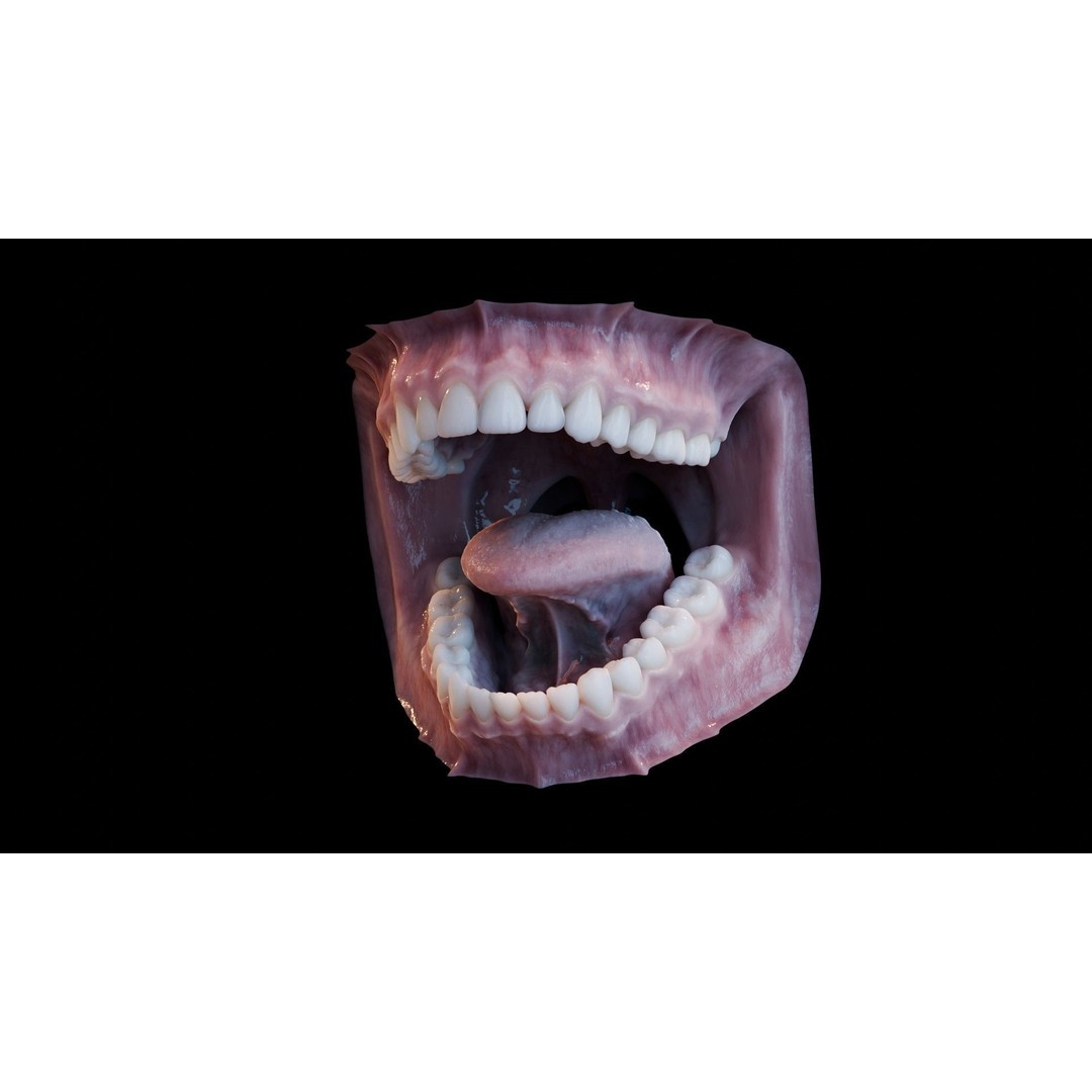 Human Mouth 3D Model – Photorealistic Low Poly Rigged Asset for Blender and 3ds Max - View 34