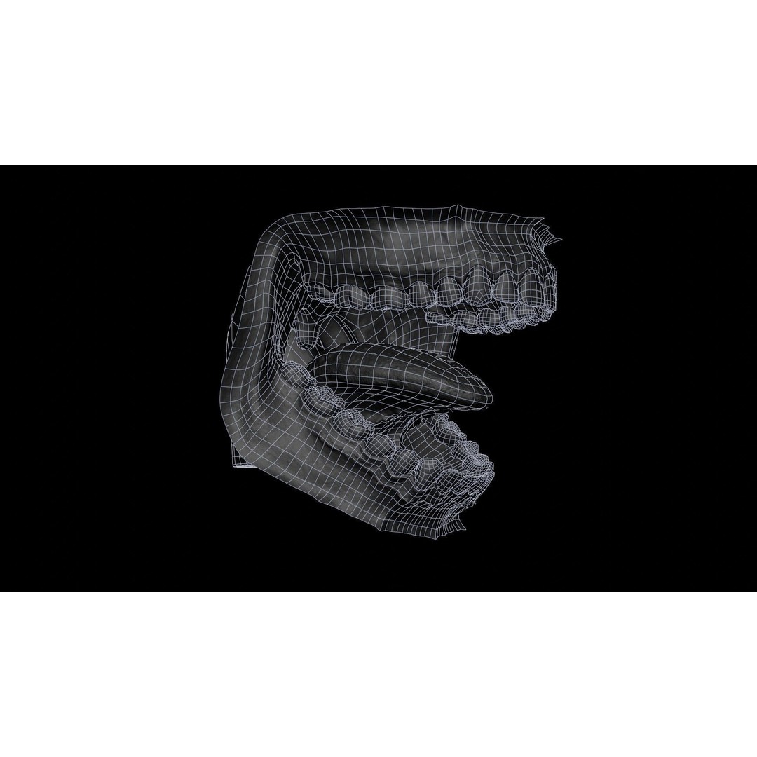 Human Mouth 3D Model – Photorealistic Low Poly Rigged Asset for Blender and 3ds Max - View 37