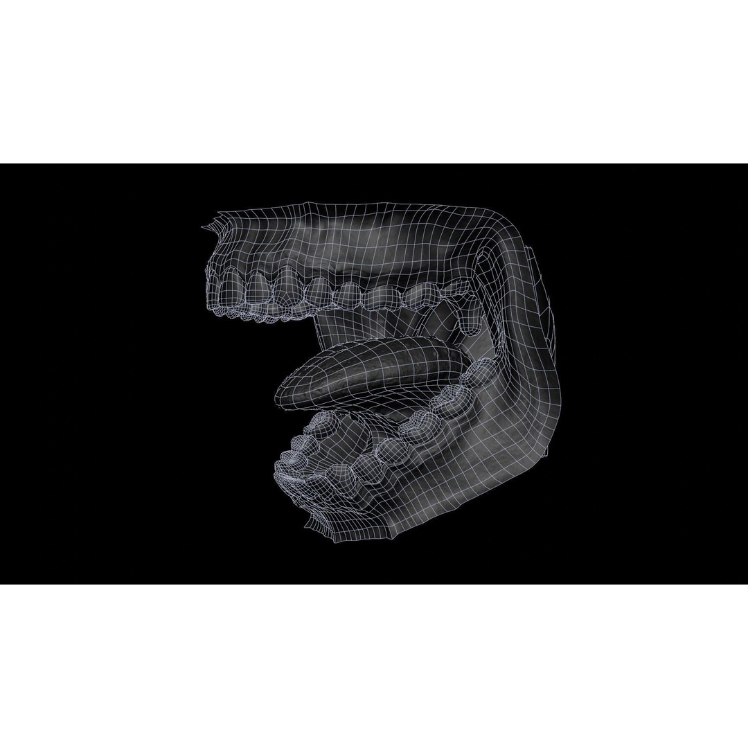 Human Mouth 3D Model – Photorealistic Low Poly Rigged Asset for Blender and 3ds Max - View 38