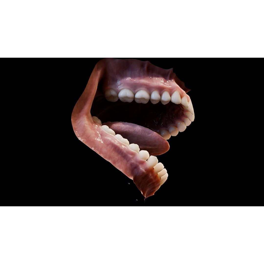 Human Mouth 3D Model – Photorealistic Low Poly Rigged Asset for Blender and 3ds Max - View 4
