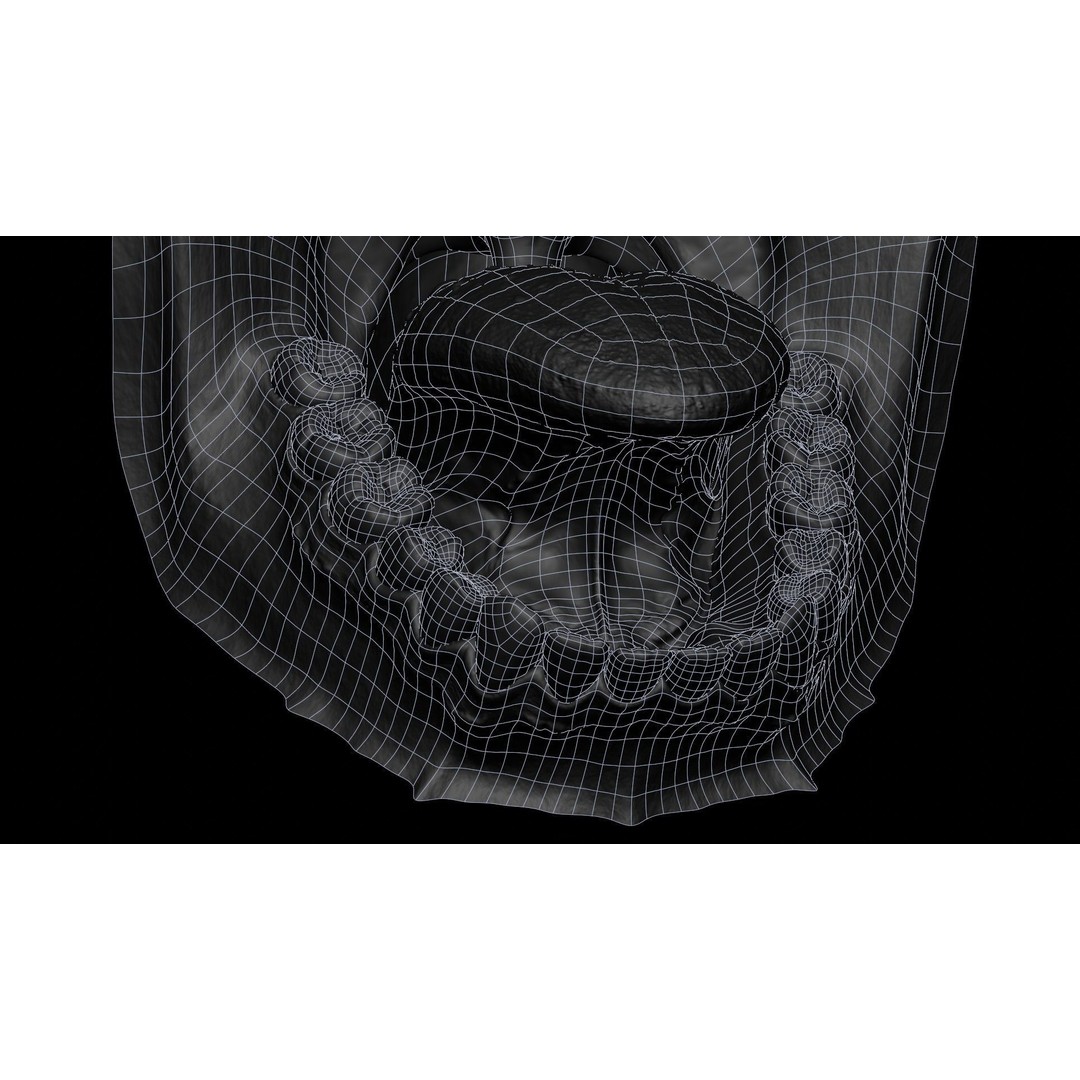 Human Mouth 3D Model – Photorealistic Low Poly Rigged Asset for Blender and 3ds Max - View 43