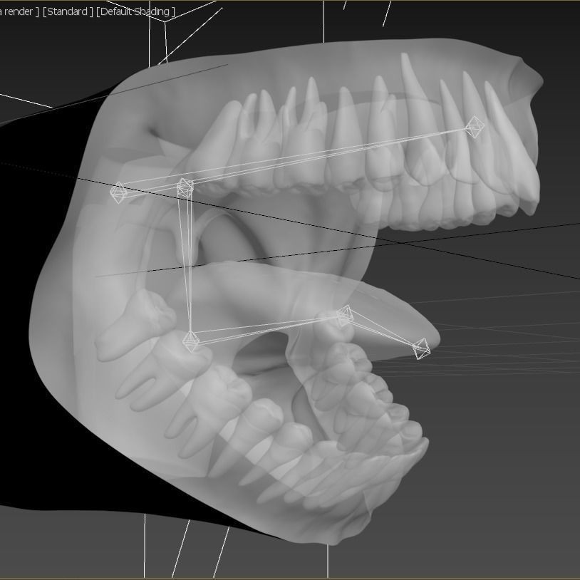Human Mouth 3D Model – Photorealistic Low Poly Rigged Asset for Blender and 3ds Max - View 44