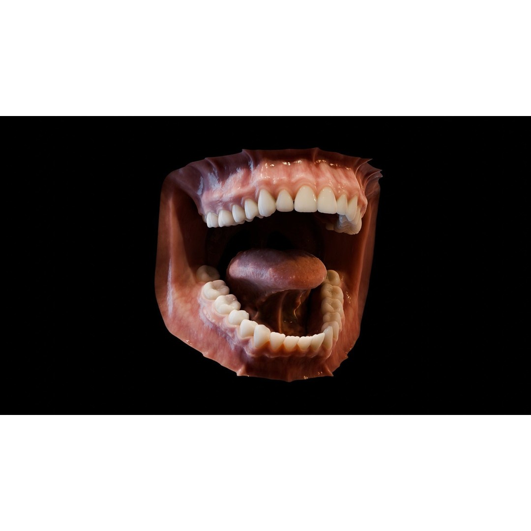 Human Mouth 3D Model – Photorealistic Low Poly Rigged Asset for Blender and 3ds Max - View 5