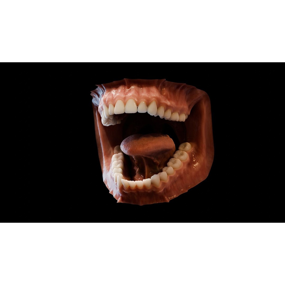 Human Mouth 3D Model – Photorealistic Low Poly Rigged Asset for Blender and 3ds Max - View 6