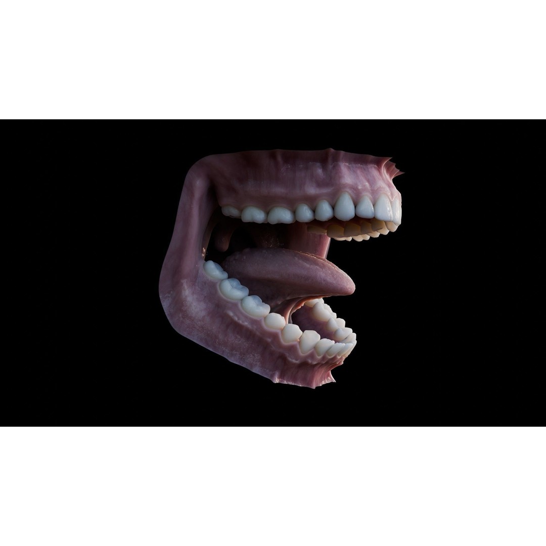 Human Mouth 3D Model – Photorealistic Low Poly Rigged Asset for Blender and 3ds Max - View 9