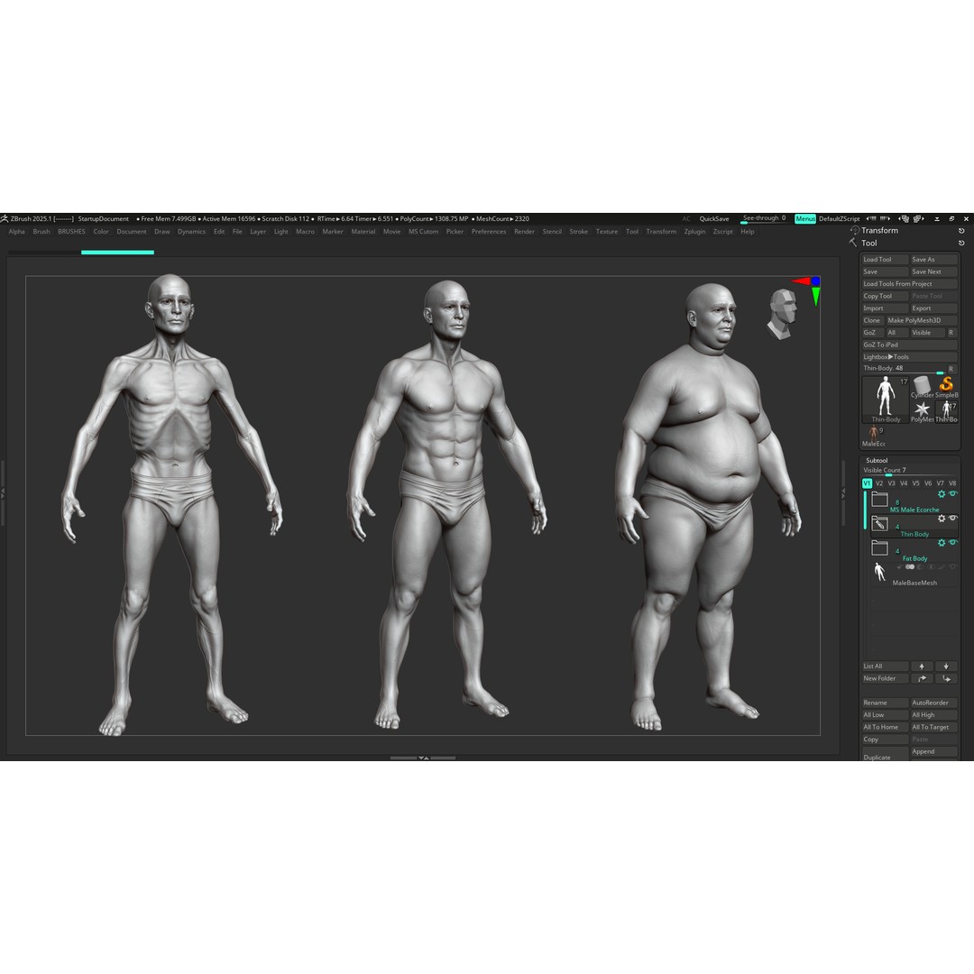 Realistic Male Full Body Anatomy 3D Model – Comprehensive Anatomy Reference, FBX, ZTL