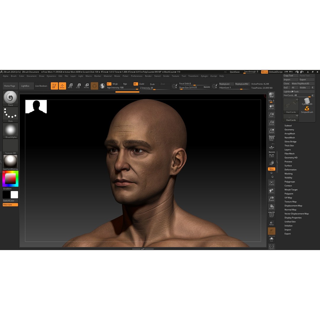 Realistic Male Full Body Anatomy 3D Model – Comprehensive Anatomy Reference, FBX, ZTL - View 14