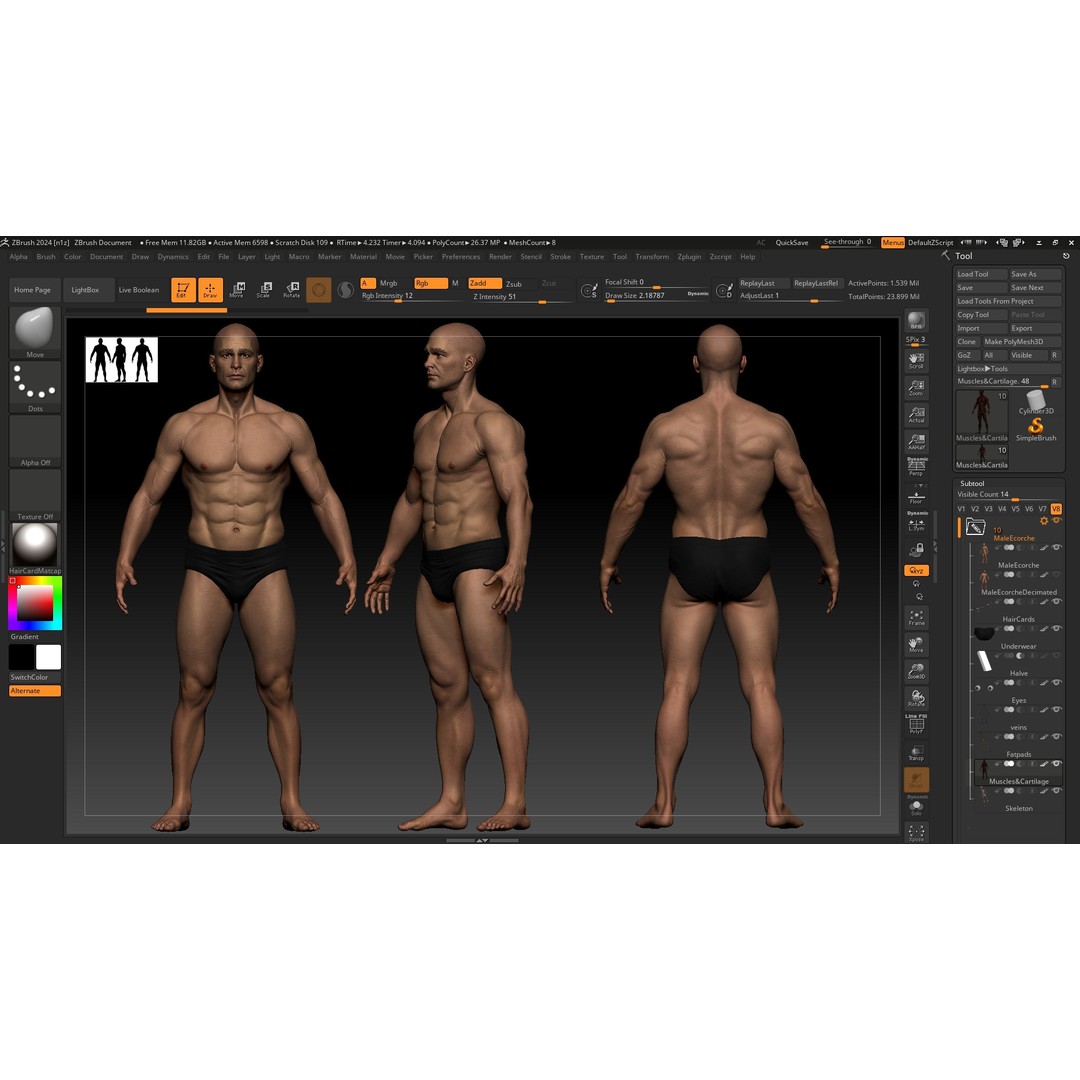 Realistic Male Full Body Anatomy 3D Model – Comprehensive Anatomy Reference, FBX, ZTL - View 15