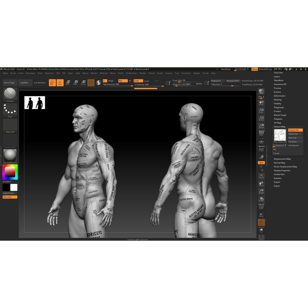 Realistic Male Full Body Anatomy 3D Model – Comprehensive Anatomy Reference, FBX, ZTL - View 17