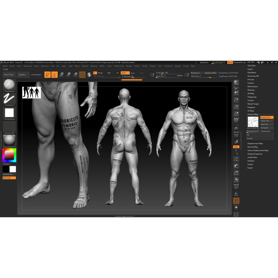Realistic Male Full Body Anatomy 3D Model – Comprehensive Anatomy Reference, FBX, ZTL - View 18