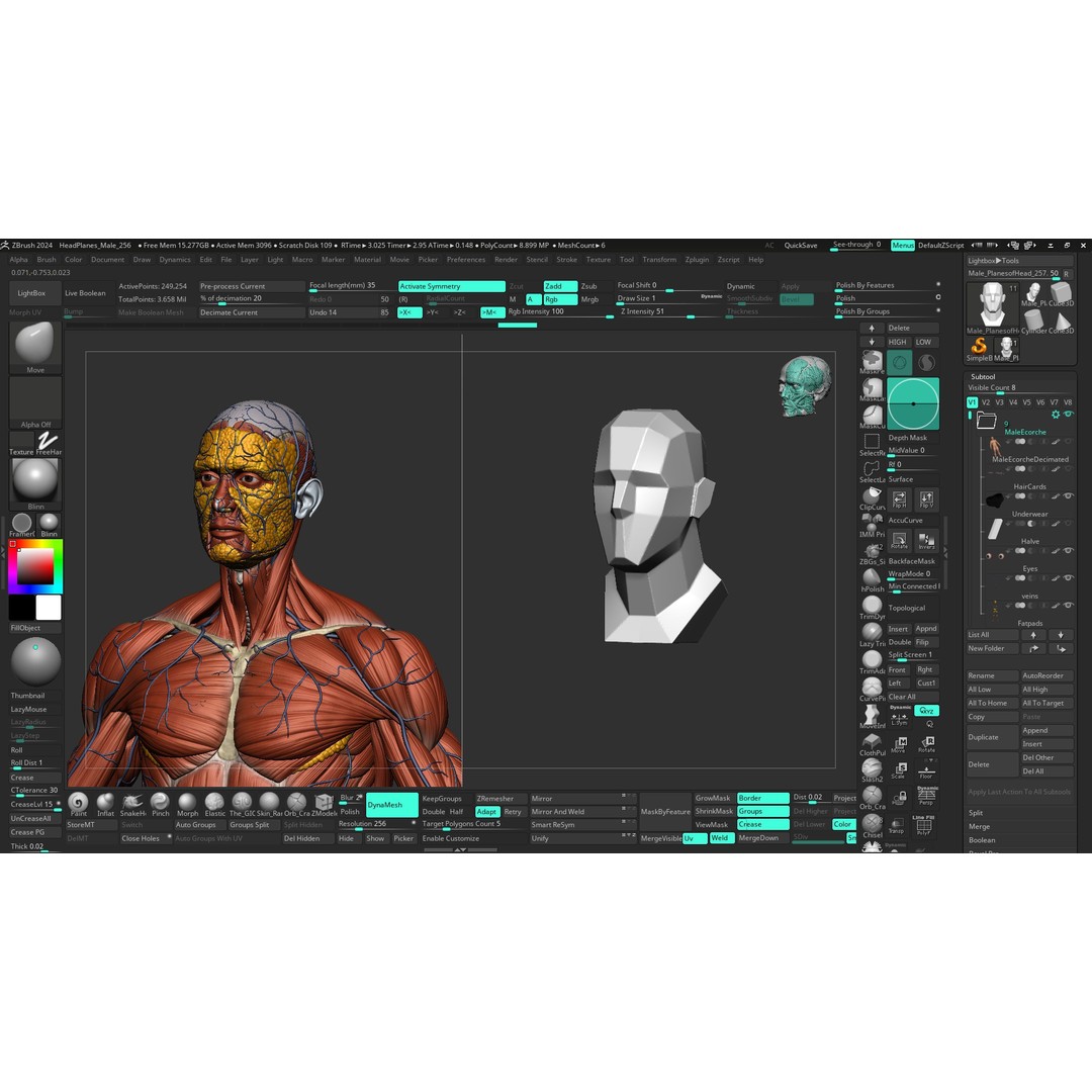 Realistic Male Full Body Anatomy 3D Model – Comprehensive Anatomy Reference, FBX, ZTL - View 24
