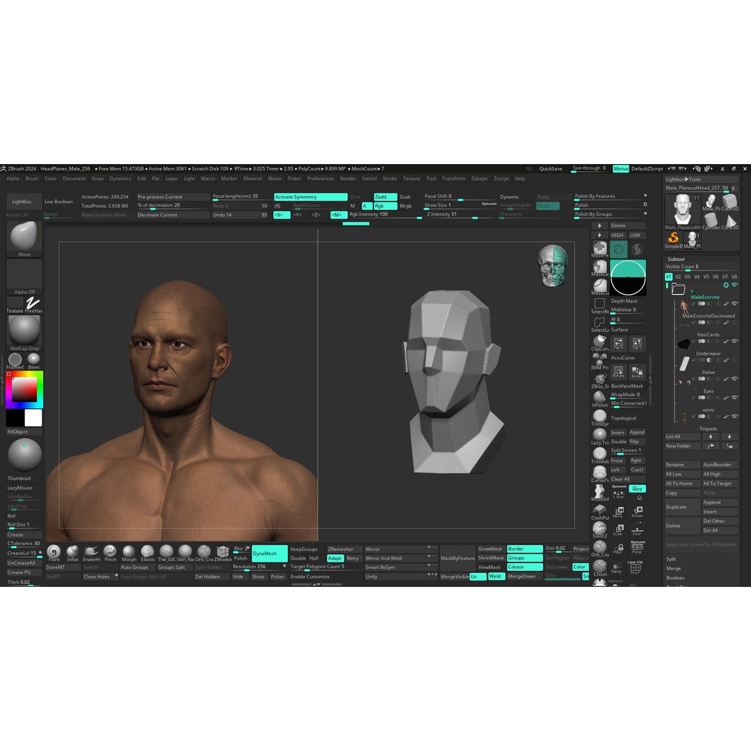Realistic Male Full Body Anatomy 3D Model – Comprehensive Anatomy Reference, FBX, ZTL - View 25