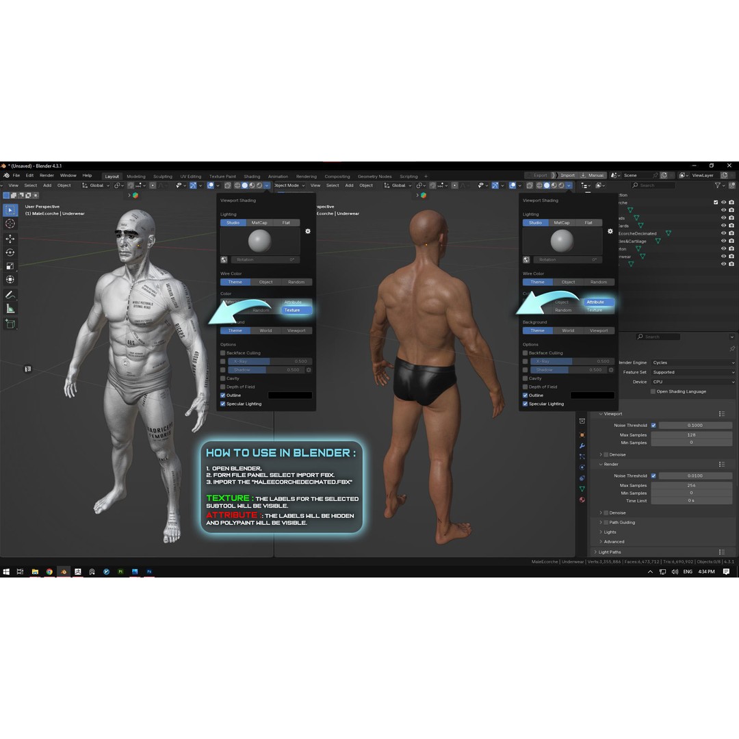 Realistic Male Full Body Anatomy 3D Model – Comprehensive Anatomy Reference, FBX, ZTL - View 26