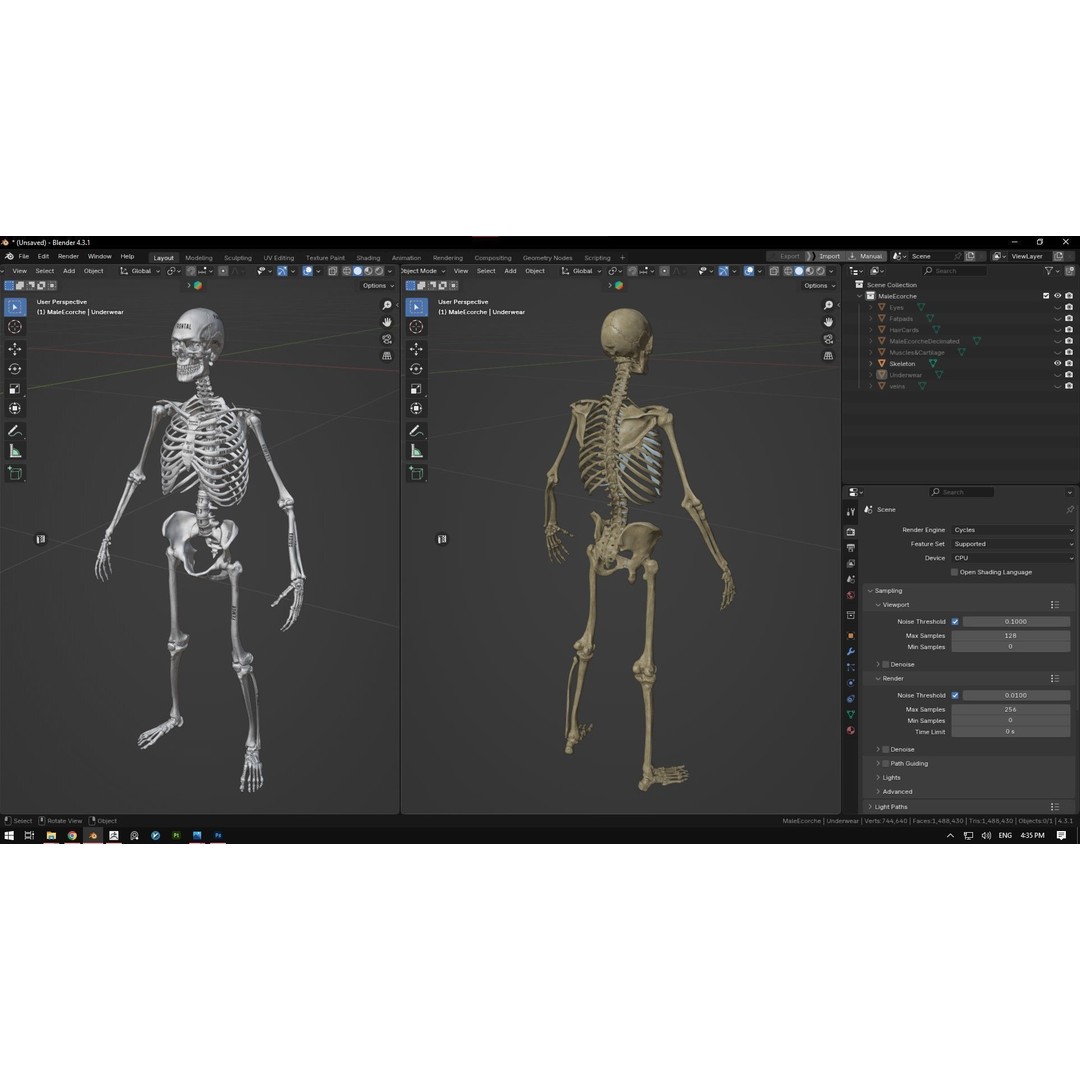 Realistic Male Full Body Anatomy 3D Model – Comprehensive Anatomy Reference, FBX, ZTL - View 28