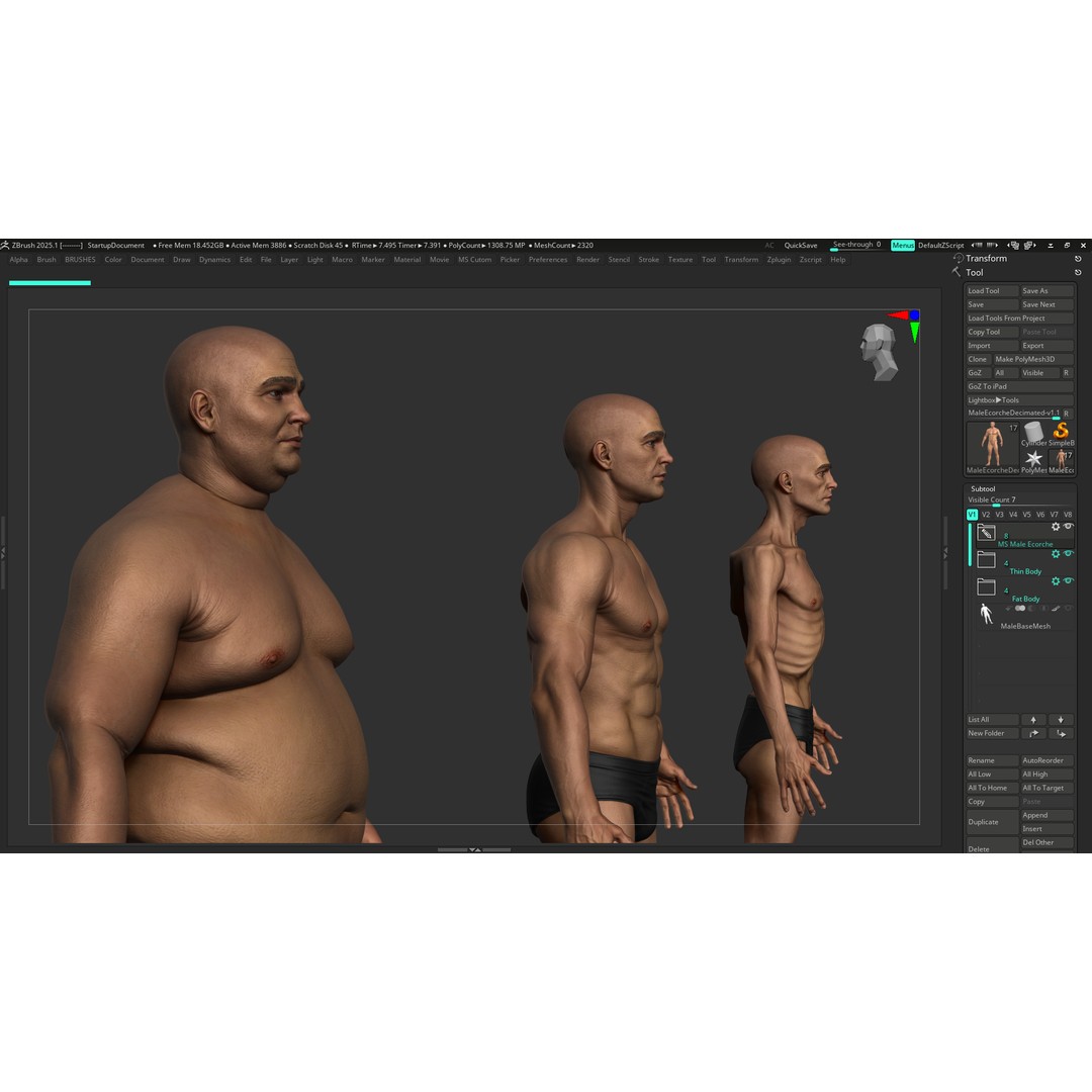 Realistic Male Full Body Anatomy 3D Model – Comprehensive Anatomy Reference, FBX, ZTL - View 29