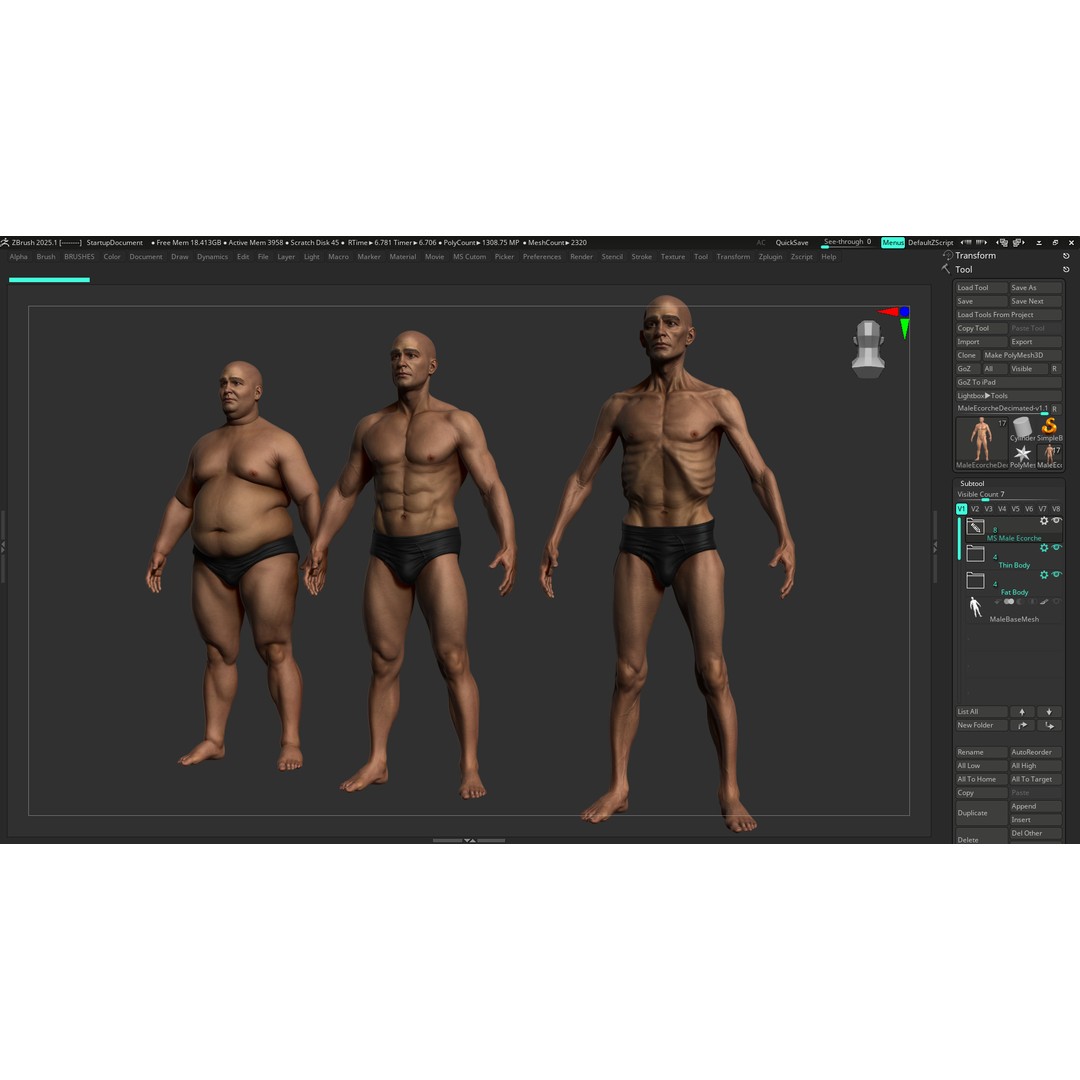 Realistic Male Full Body Anatomy 3D Model – Comprehensive Anatomy Reference, FBX, ZTL - View 30