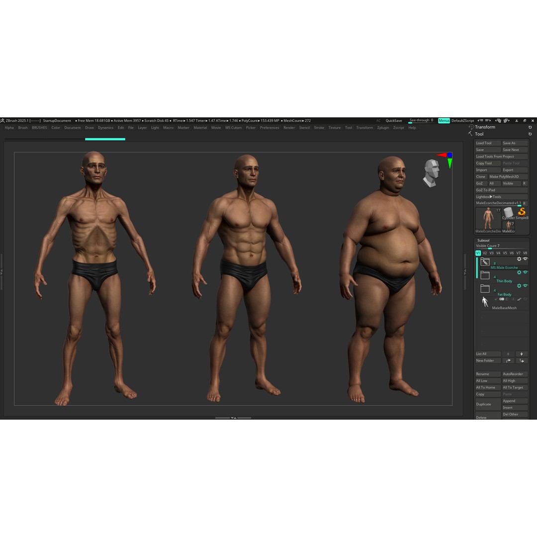 Realistic Male Full Body Anatomy 3D Model – Comprehensive Anatomy Reference, FBX, ZTL - View 31