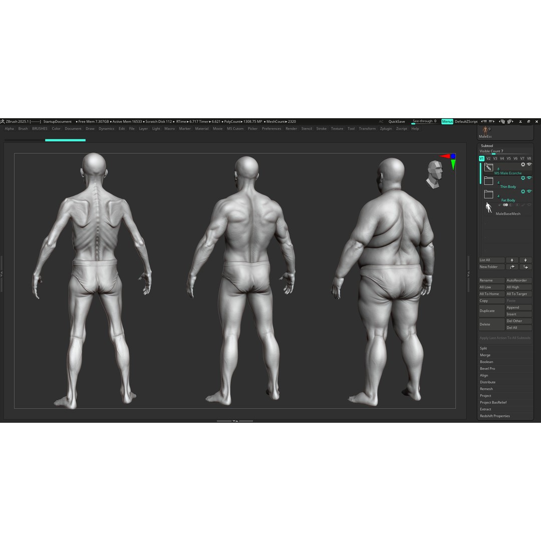 Realistic Male Full Body Anatomy 3D Model – Comprehensive Anatomy Reference, FBX, ZTL - View 33