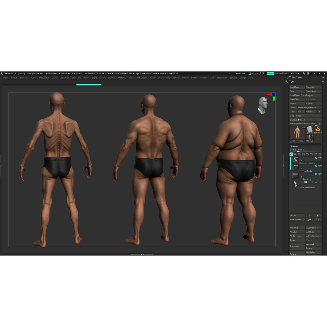 Realistic Male Full Body Anatomy 3D Model – Comprehensive Anatomy Reference, FBX, ZTL - View 34