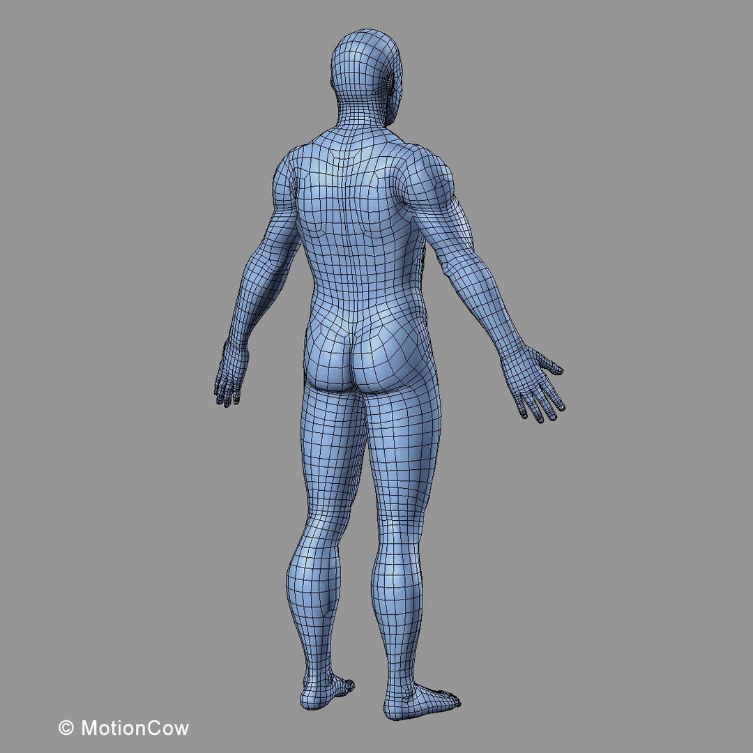 Human Anatomy 3D Model – Rigged Character with Detailed Systems, FBX - View 106