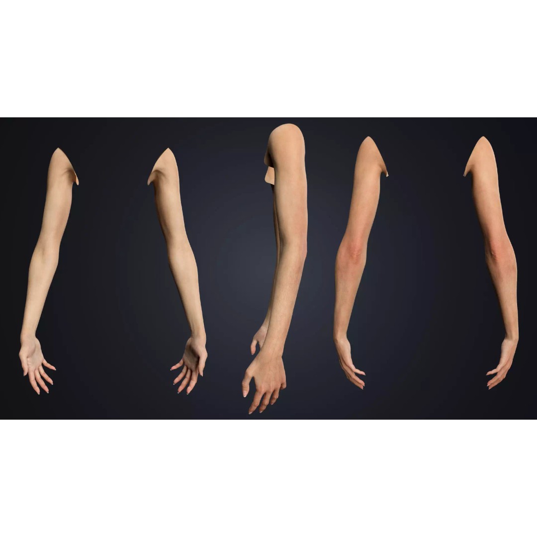 Realistic Female Arms 3D Model – Customizable Rigged Asset for Blender - View 3