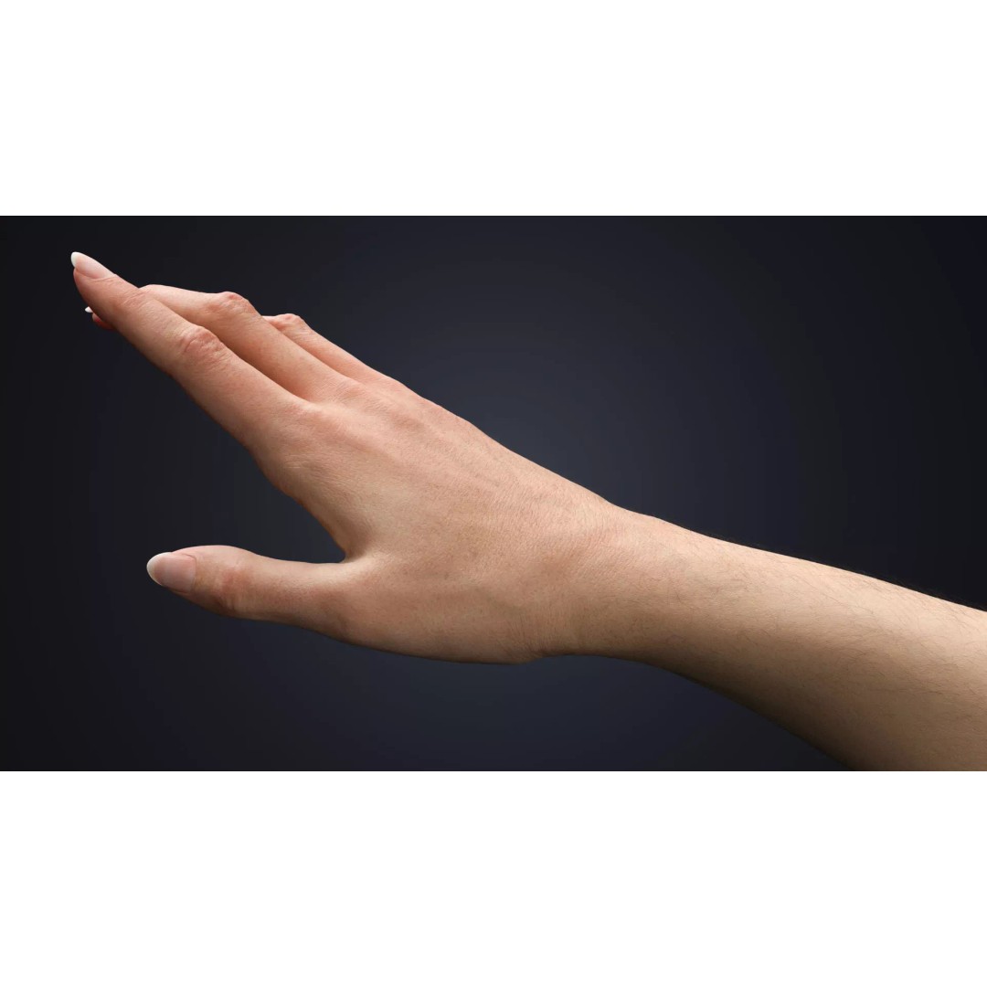 Realistic Female Arms 3D Model – Customizable Rigged Asset for Blender - View 6