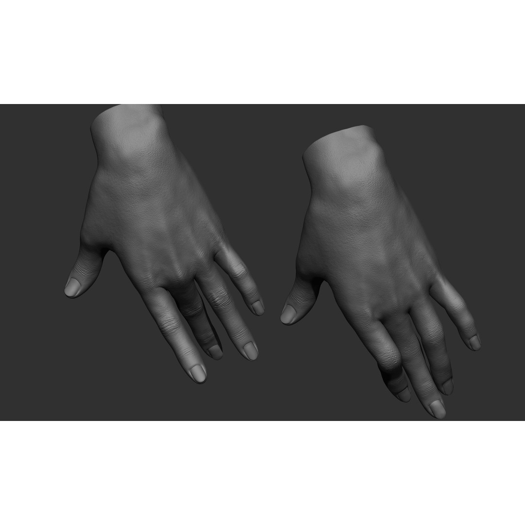 Female Hand Poses 3D Model – Realistic ZBrush Sculptures, OBJ, FBX