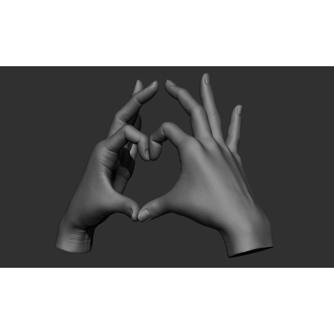 Female Hand Poses 3D Model – Realistic ZBrush Sculptures, OBJ, FBX - View 11