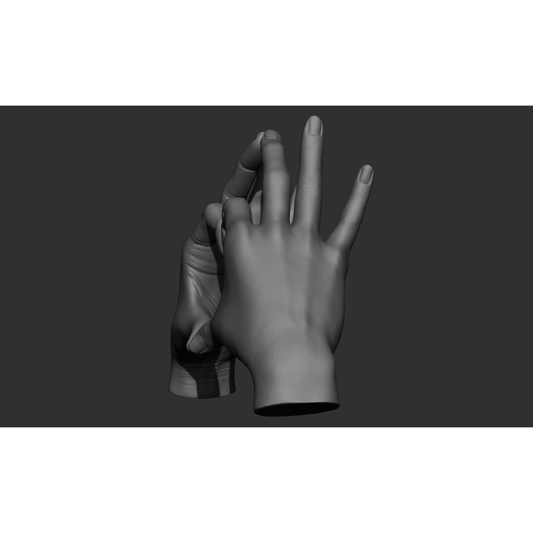 Female Hand Poses 3D Model – Realistic ZBrush Sculptures, OBJ, FBX - View 12