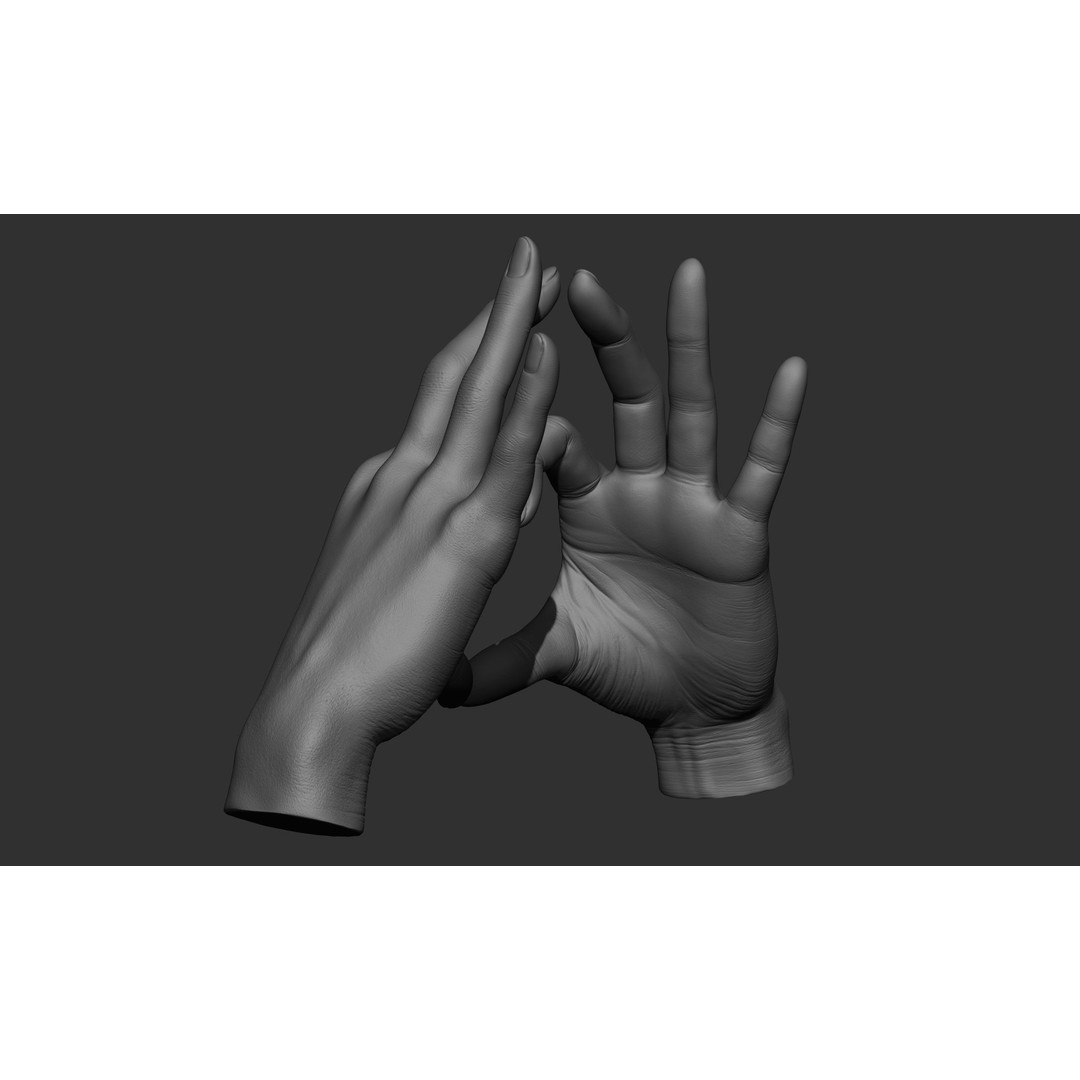 Female Hand Poses 3D Model – Realistic ZBrush Sculptures, OBJ, FBX - View 13