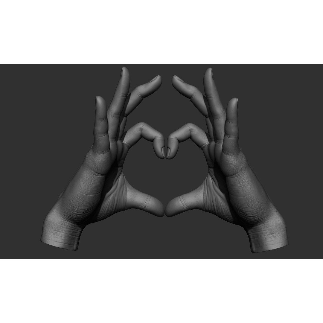 Female Hand Poses 3D Model – Realistic ZBrush Sculptures, OBJ, FBX - View 14