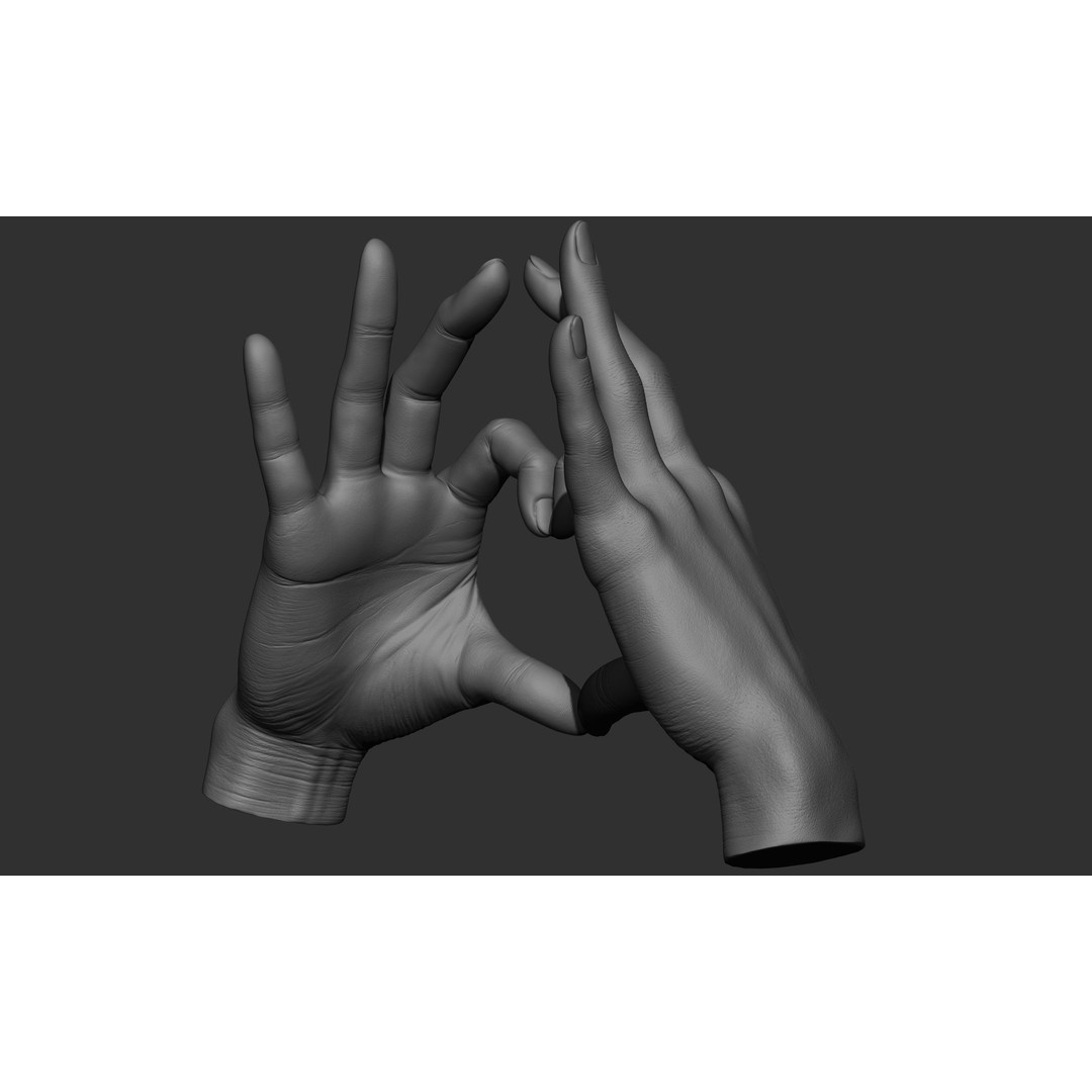 Female Hand Poses 3D Model – Realistic ZBrush Sculptures, OBJ, FBX - View 15