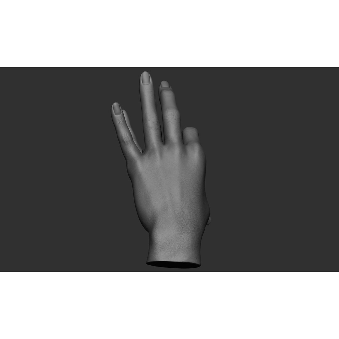 Female Hand Poses 3D Model – Realistic ZBrush Sculptures, OBJ, FBX - View 16