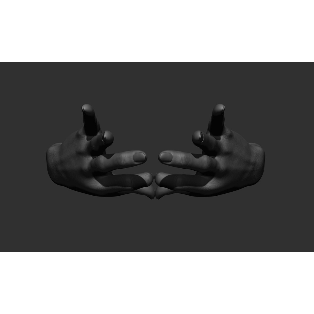 Female Hand Poses 3D Model – Realistic ZBrush Sculptures, OBJ, FBX - View 17