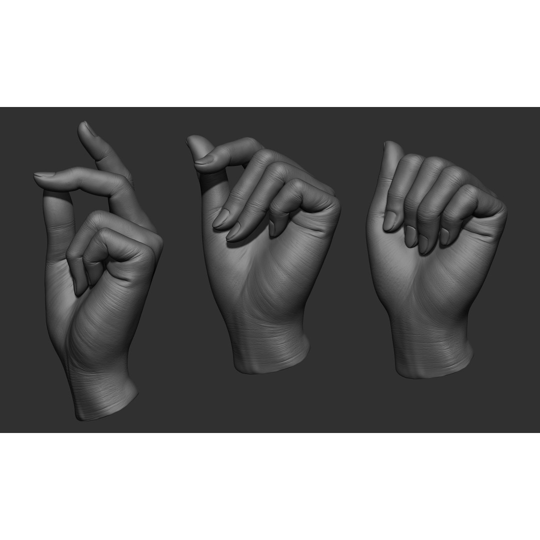 Female Hand Poses 3D Model – Realistic ZBrush Sculptures, OBJ, FBX - View 18