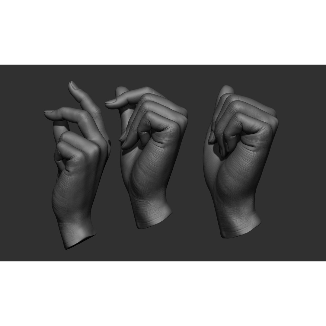 Female Hand Poses 3D Model – Realistic ZBrush Sculptures, OBJ, FBX - View 19
