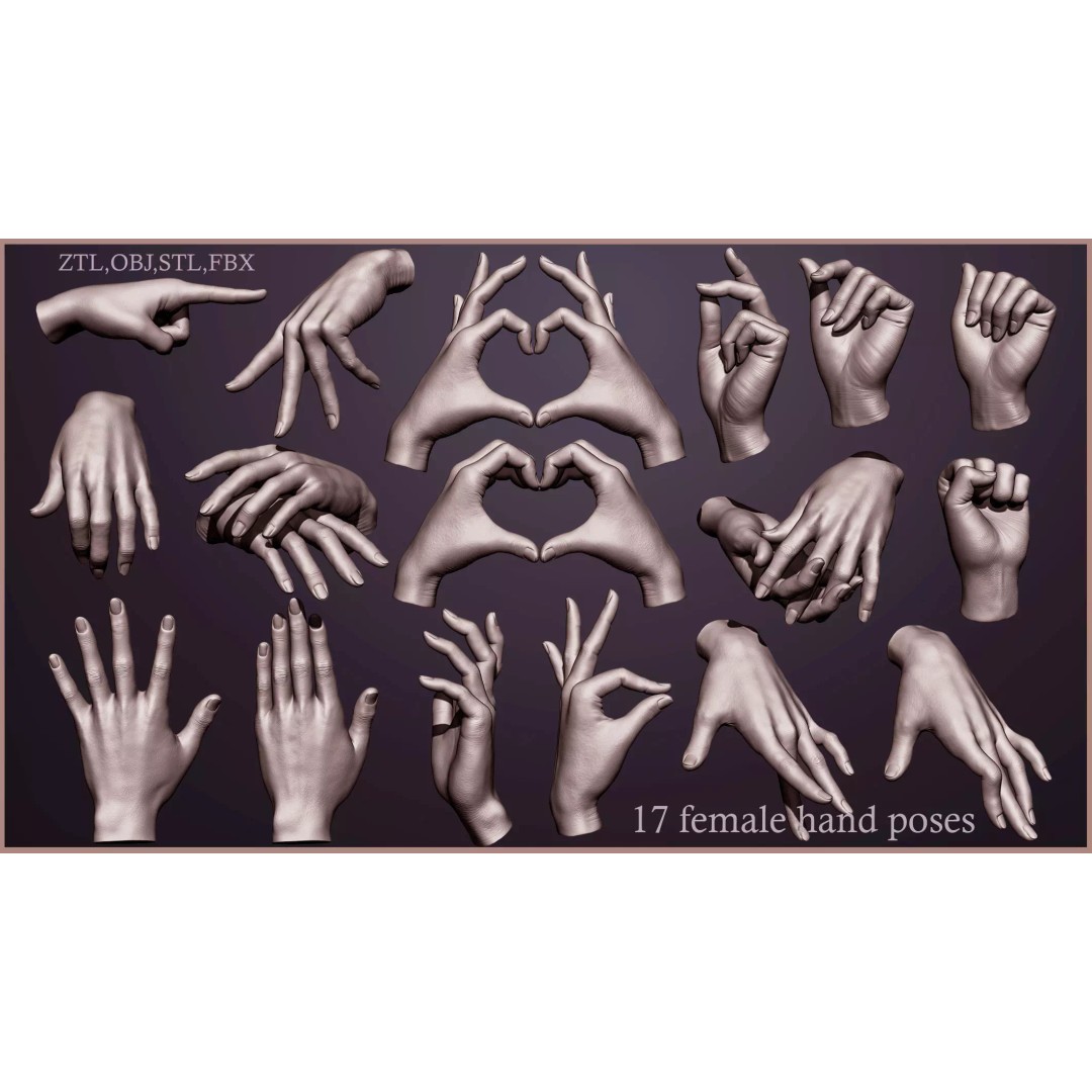 Female Hand Poses 3D Model – Realistic ZBrush Sculptures, OBJ, FBX - View 2