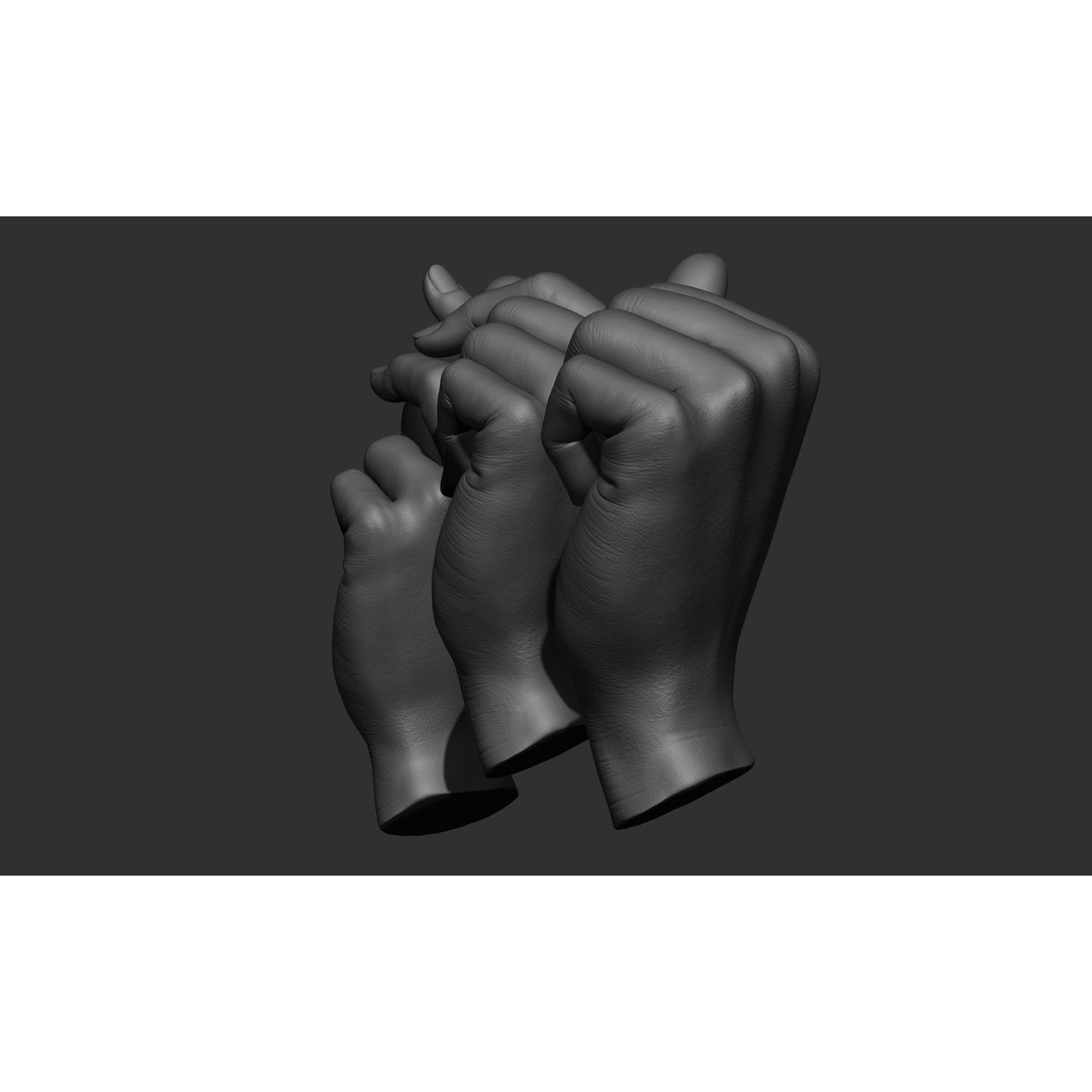 Female Hand Poses 3D Model – Realistic ZBrush Sculptures, OBJ, FBX - View 20