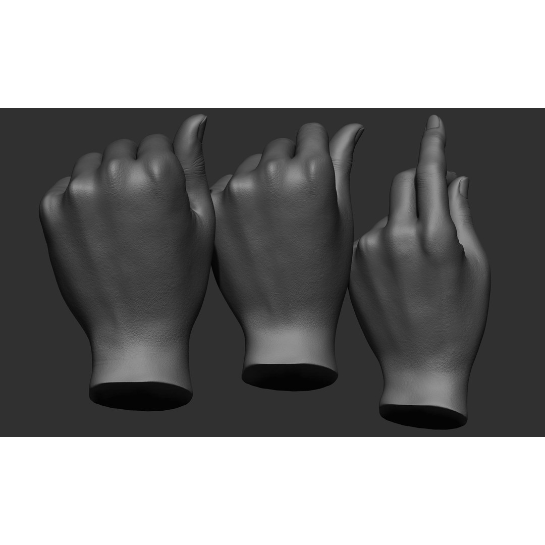 Female Hand Poses 3D Model – Realistic ZBrush Sculptures, OBJ, FBX - View 21