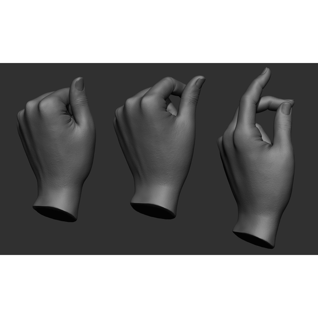 Female Hand Poses 3D Model – Realistic ZBrush Sculptures, OBJ, FBX - View 22