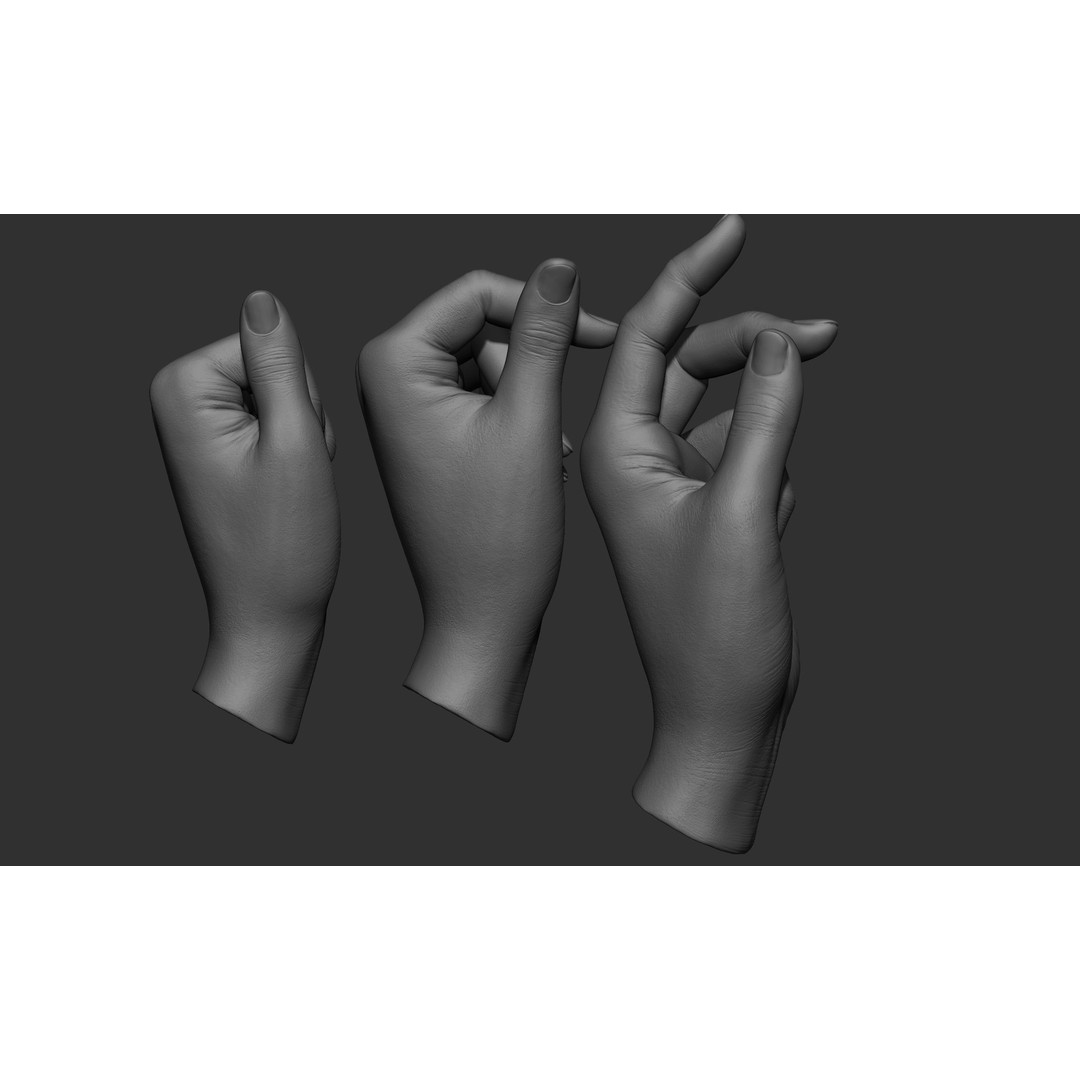 Female Hand Poses 3D Model – Realistic ZBrush Sculptures, OBJ, FBX - View 23